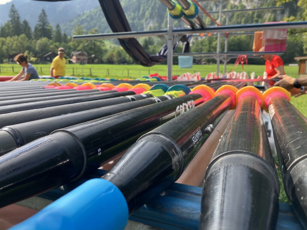 picture with multple sculls